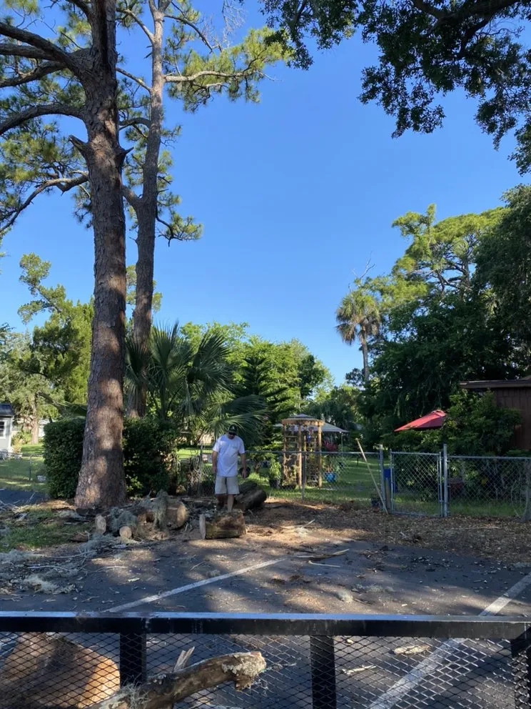 Custom lawn mowing service experts serving Port Orange, FL - PelCare Lawn and Landscaping