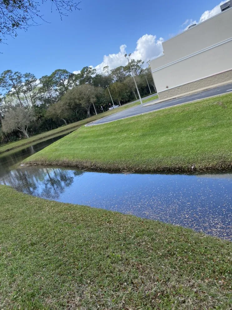 Local lawn mowing service experts serving Port Orange, FL - PelCare Lawn and Landscaping