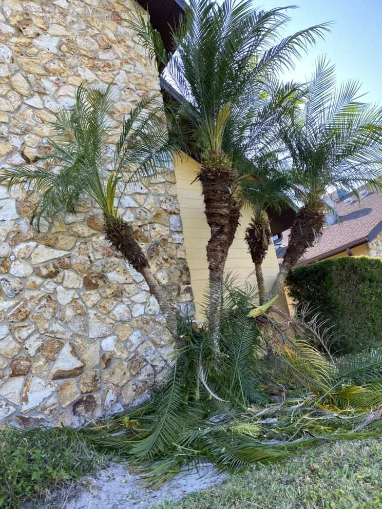 Custom landscaping services experts serving Port Orange, FL - PelCare Lawn and Landscaping