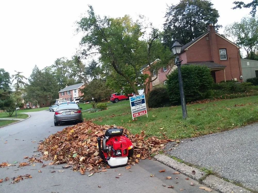Custom yard maintenance for homes across Lafayette Hill, PA - Pelchat Tree Service