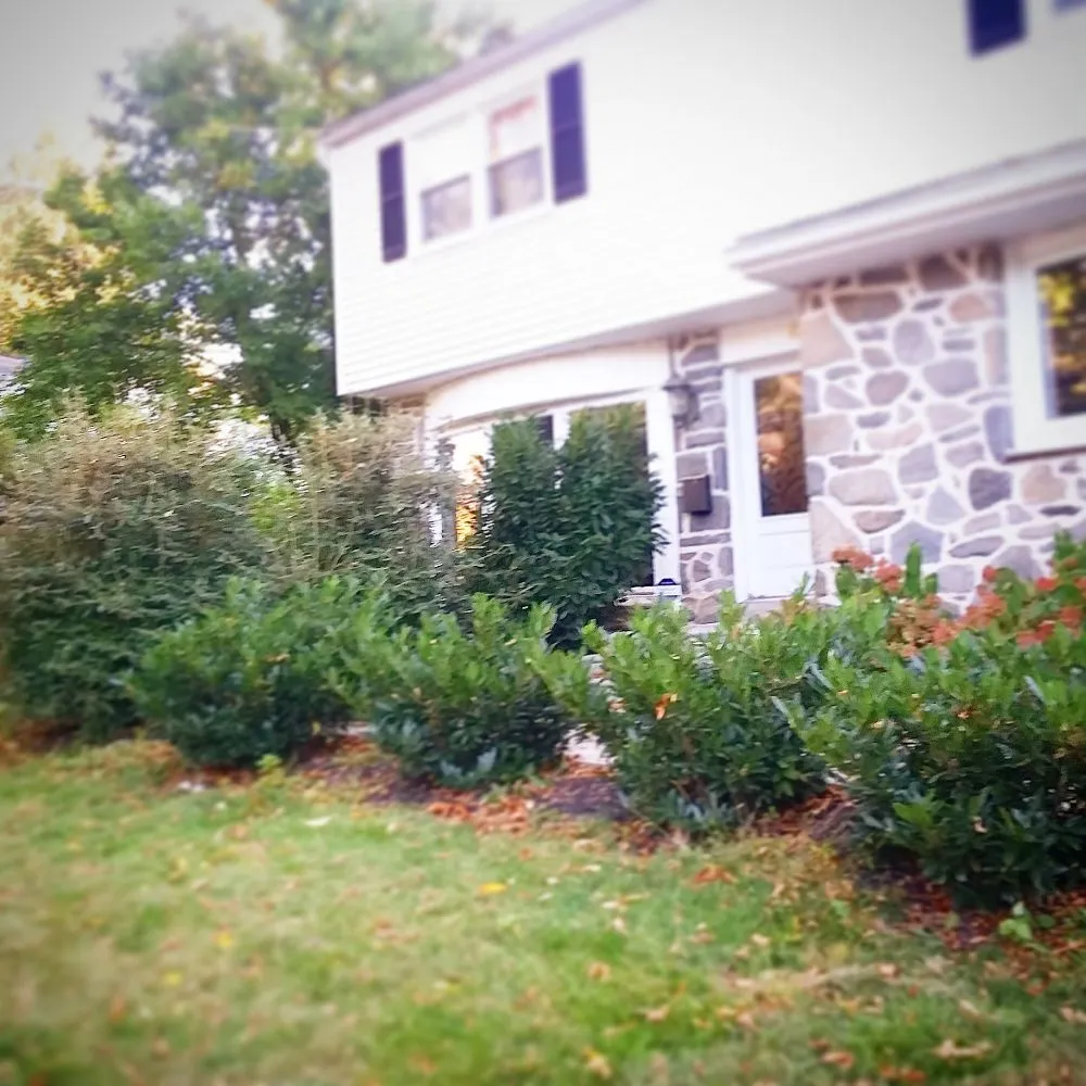 Local lawn mowing service in Lafayette Hill, PA by Pelchat Tree Service