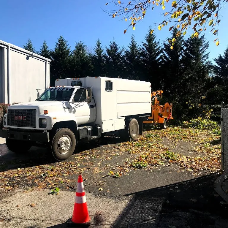 Expert landscape design in Lafayette Hill, PA by Pelchat Tree Service