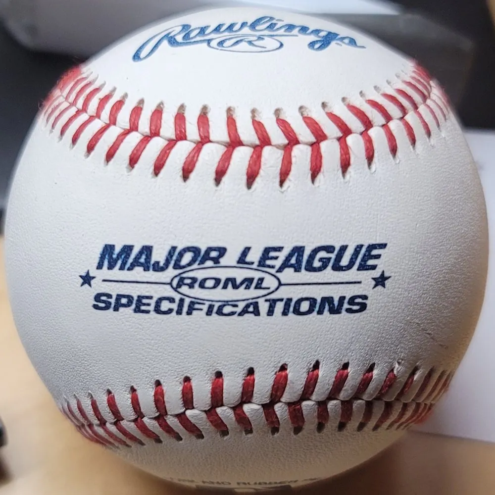 Affordable yard maintenance in San Mateo, CA by Pelican Handyman Services