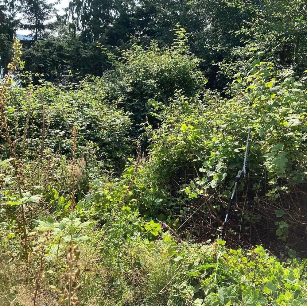 Reliable landscape design in Belfair, WA by Pelican Landscaping