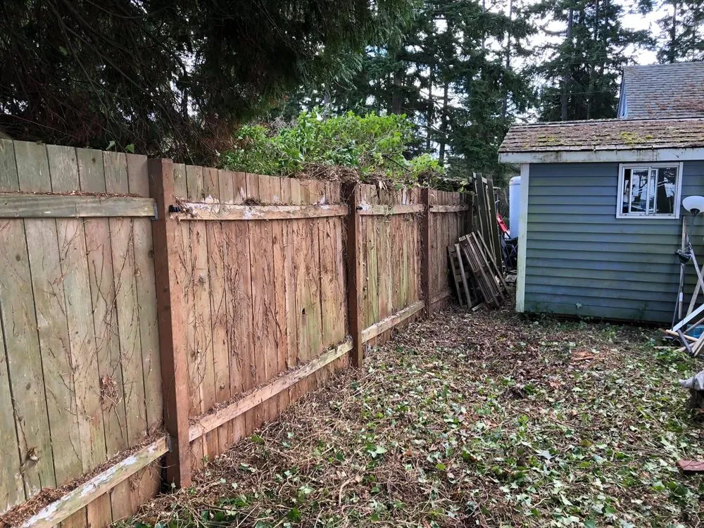 Local residential landscaping experts serving Belfair, WA - Pelican Landscaping