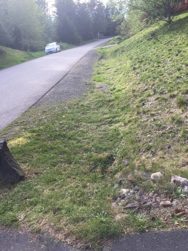 Affordable outdoor landscaping for beautiful yards across Belfair, WA - Pelican Landscaping