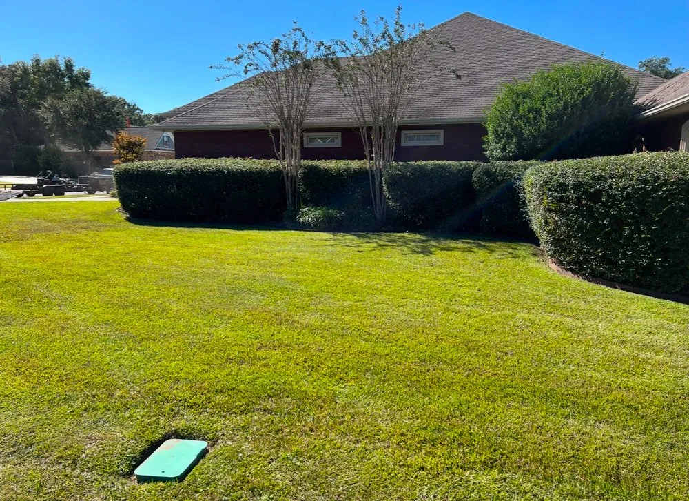 Professional landscape installation experts serving Cantonment, FL - Pelican Lawn