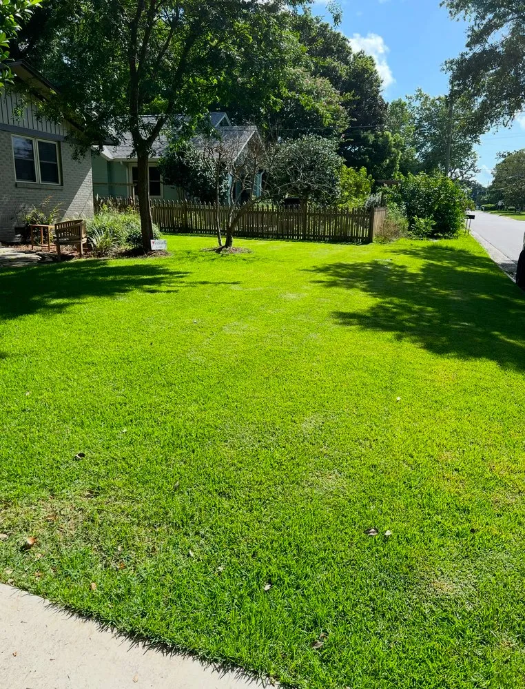 Local landscaping services experts serving Cantonment, FL - Pelican Lawn