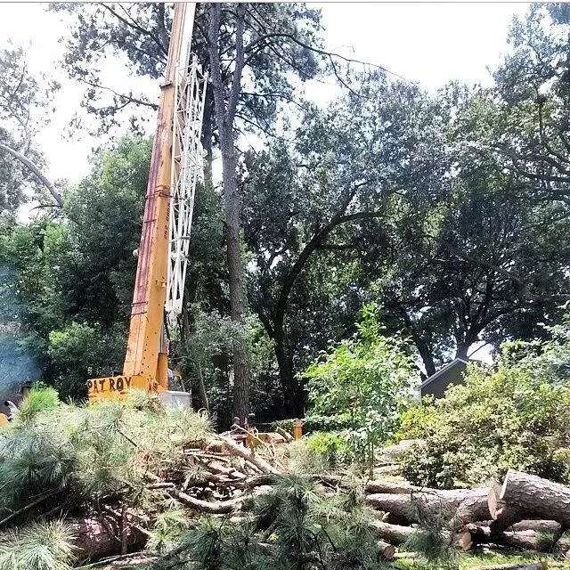 Affordable garden landscaping in Baton Rouge, LA - Pelican Tree Care