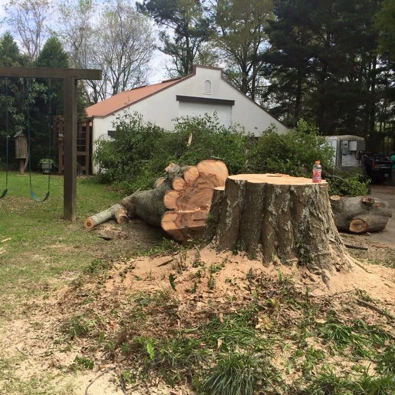 Custom garden landscaping near you in Baton Rouge, LA by Pelican Tree Care