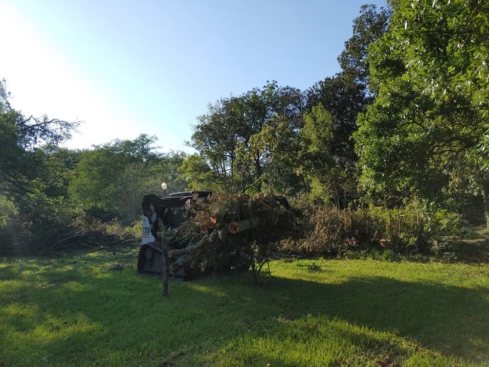 Expert yard cleanup service in Baton Rouge, LA - Pelican Tree Care
