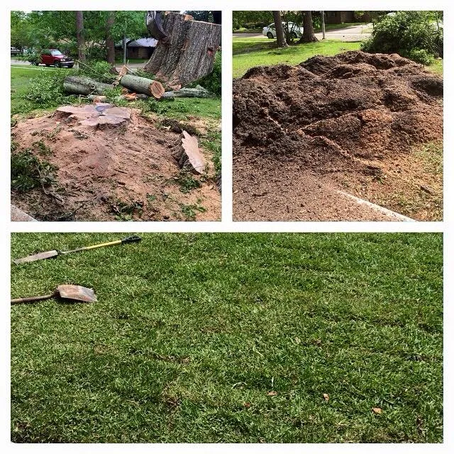 Top-rated garden landscaping in Baton Rouge, LA - Pelican Tree Care