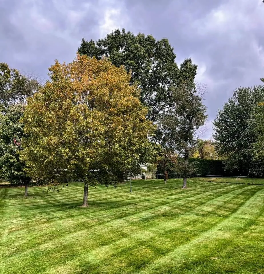 Top-rated lawn care service in Dannemora, NY by Pelkey and Son's Lawncare and Property Maintenance