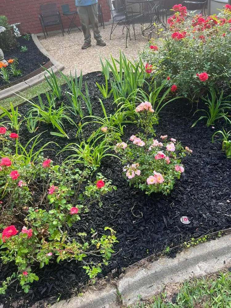 Trusted outdoor landscaping for beautiful yards across West Monroe, LA - Pellegrin Lawn Care