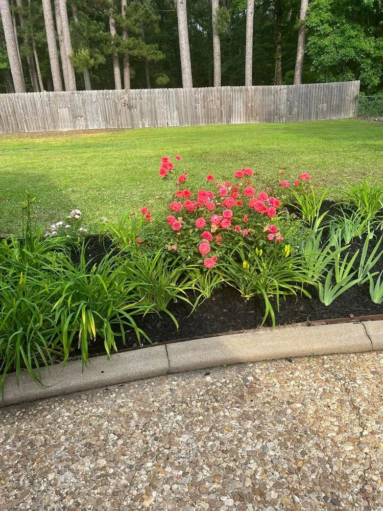 Reliable landscape design near you in West Monroe, LA by Pellegrin Lawn Care