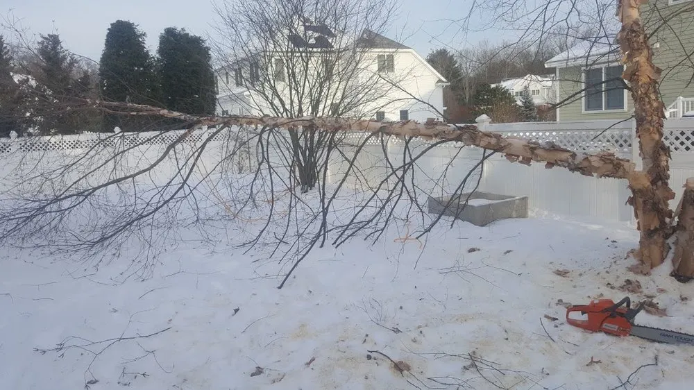 Local landscape installation for year-round maintenance in Andover, MA by Pelletier Landscaping