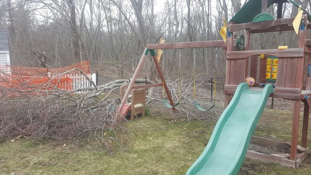 Local landscape design experts serving Andover, MA - Pelletier Landscaping