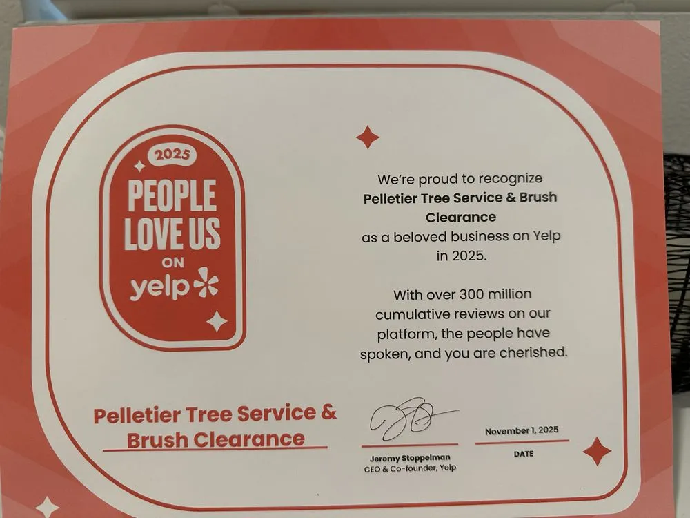 Expert lawn care service experts serving Valencia, CA - Pelletier Tree Service & Brush Clearance