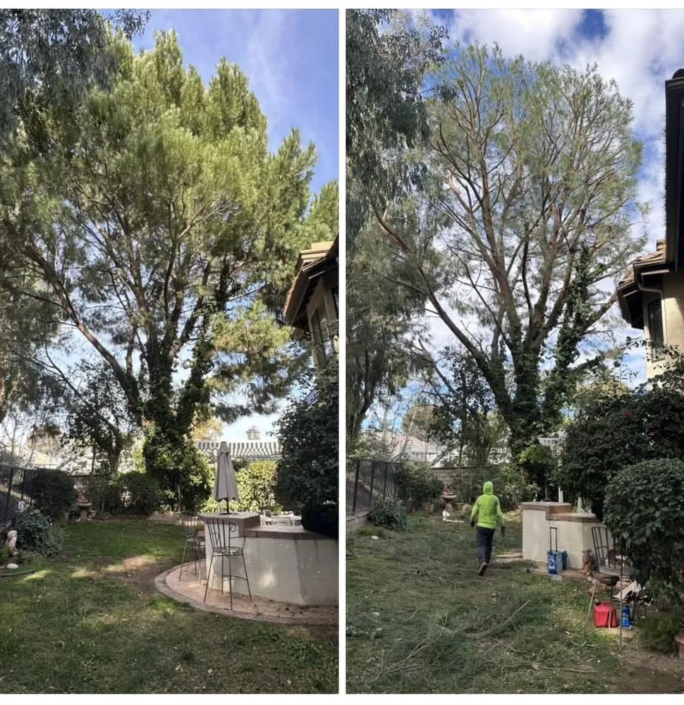 Top-rated lawn mowing service in Valencia, CA by Pelletier Tree Service & Brush Clearance