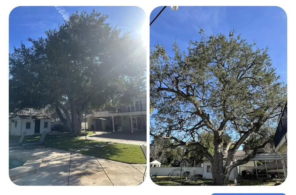 Top-rated landscape installation experts serving Valencia, CA - Pelletier Tree Service & Brush Clearance