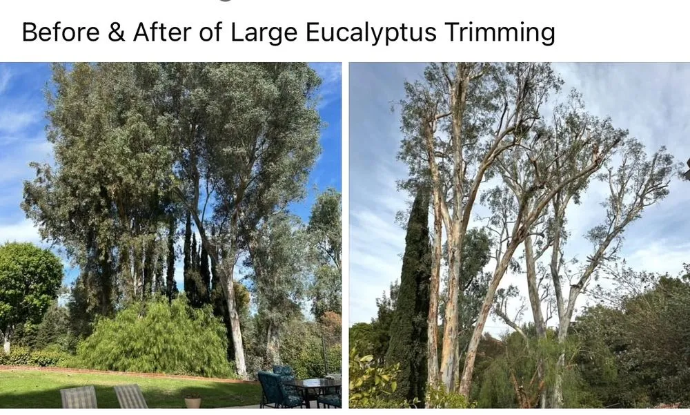 Trusted landscaping services in Valencia, CA by Pelletier Tree Service & Brush Clearance