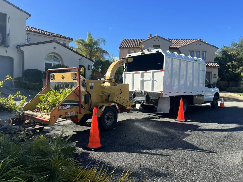 Top-rated yard cleanup service with custom design across Valencia, CA - Pelletier Tree Service & Brush Clearance
