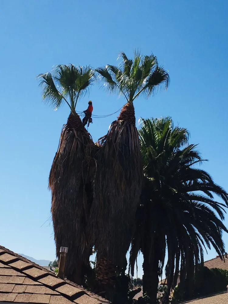 Custom lawn care service for outdoor upgrades across Valencia, CA - Pelletier Tree Service & Brush Clearance