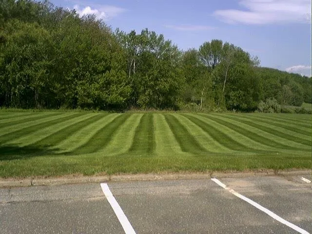 Expert yard maintenance near you in Gainesville, GA by Pelon Landscaping