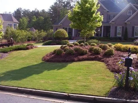 Reliable yard maintenance experts serving Gainesville, GA - Pelon Landscaping