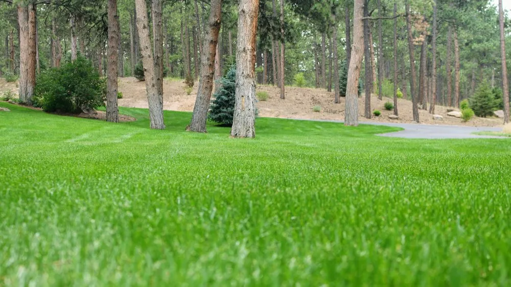Trusted garden landscaping for beautiful yards in Colorado Springs, CO by Peloquin Sprinklers & Landscaping