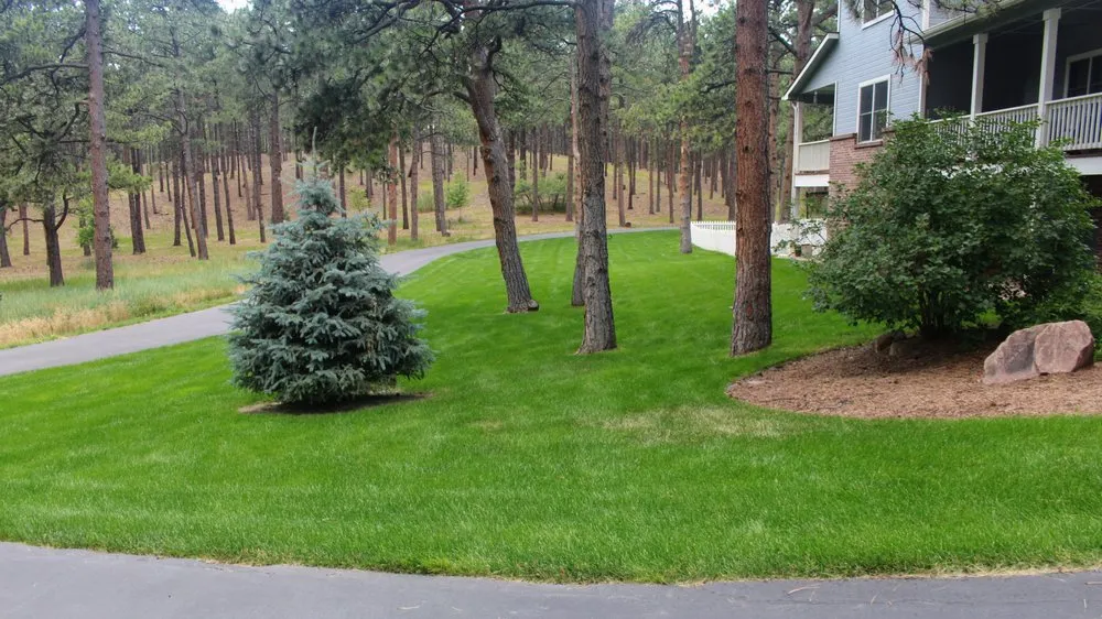 Professional landscape design experts serving Colorado Springs, CO - Peloquin Sprinklers & Landscaping