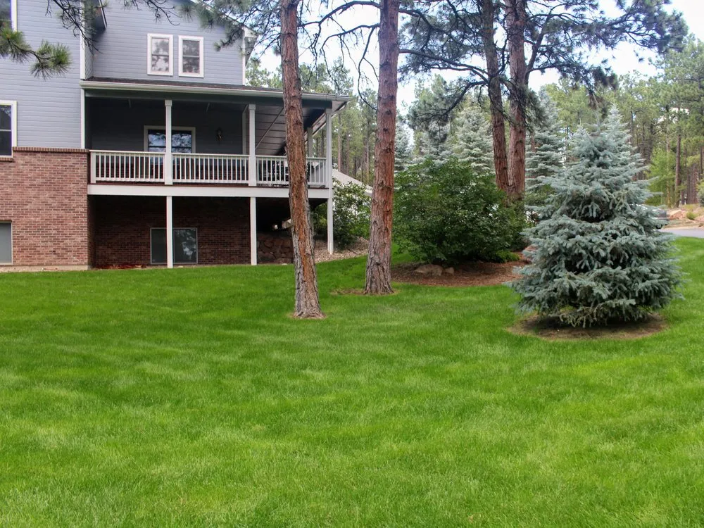 Local lawn care service in Colorado Springs, CO - Peloquin Sprinklers & Landscaping