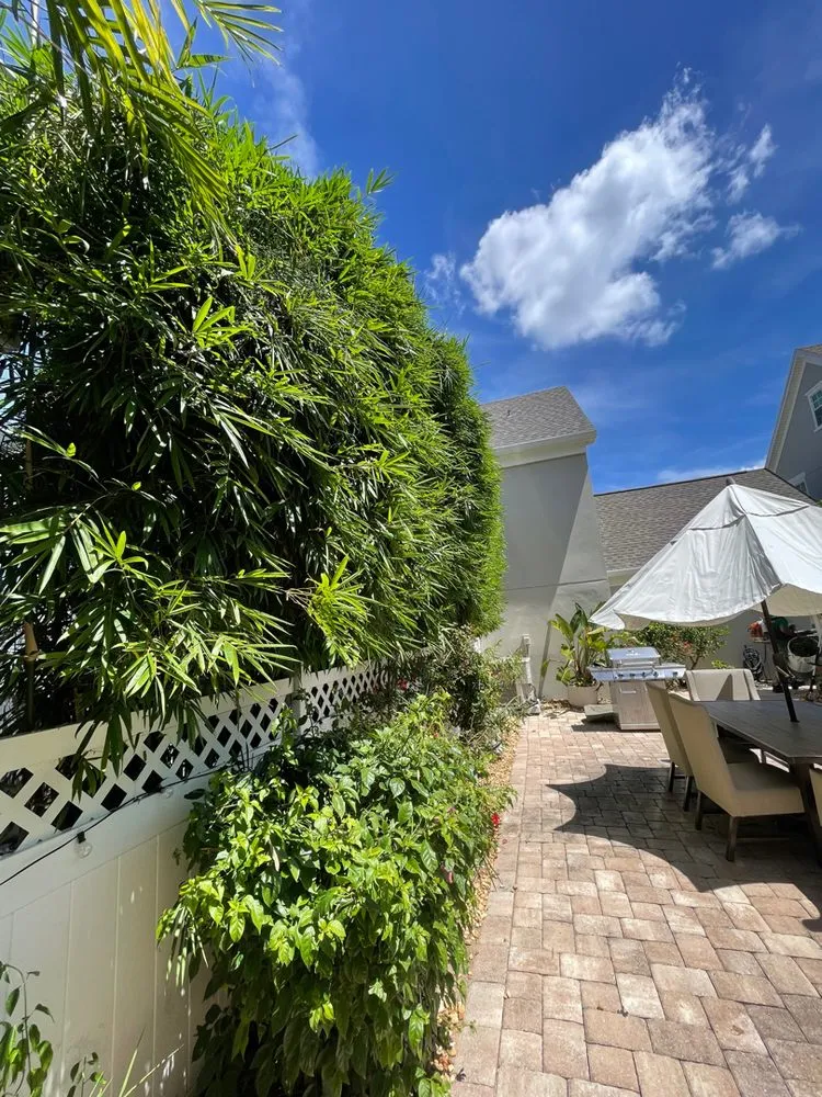 Custom lawn mowing service experts serving Kissimmee, FL - Pelor Outdoor Landscaping Solutions