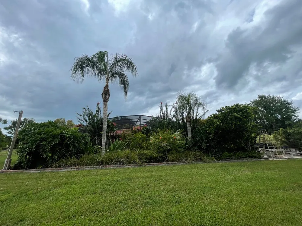 Top-rated garden landscaping for year-round maintenance in Kissimmee, FL by Pelor Outdoor Landscaping Solutions