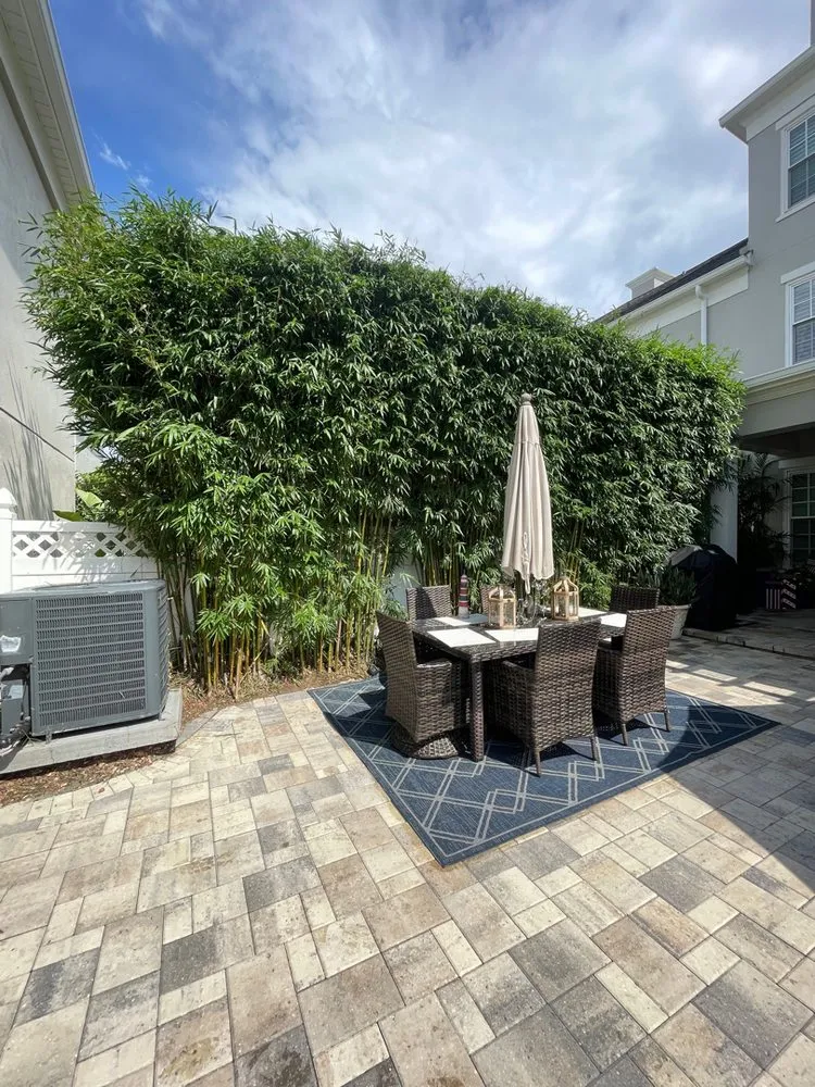 Professional landscape design for year-round maintenance across Kissimmee, FL - Pelor Outdoor Landscaping Solutions