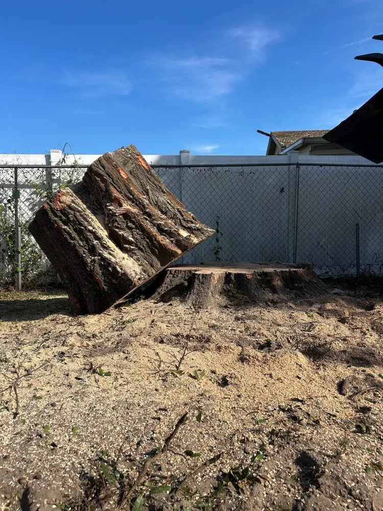 Expert garden landscaping for beautiful yards across Kissimmee, FL - Pelor Outdoor Landscaping Solutions