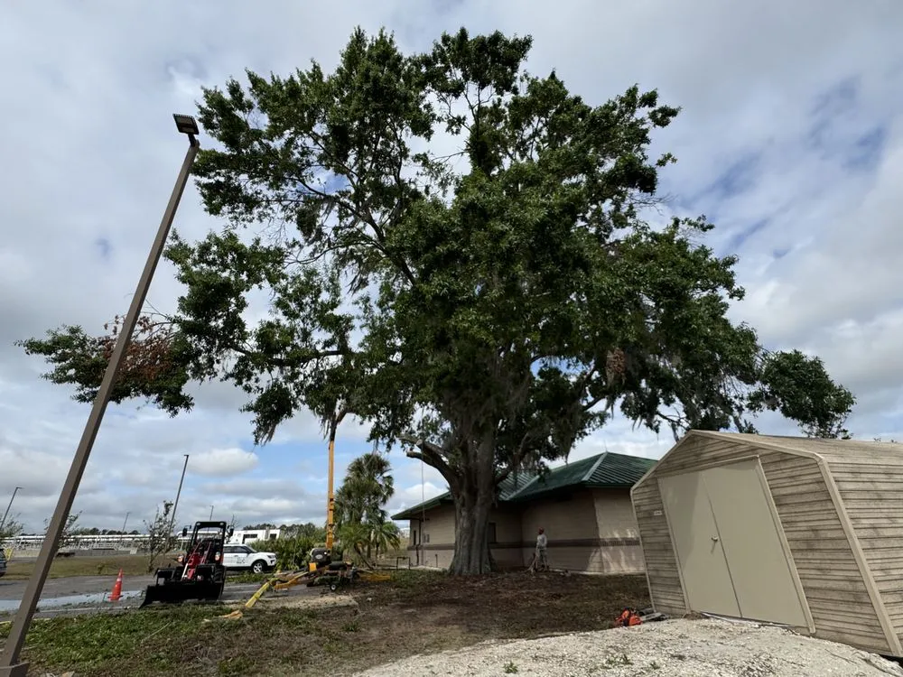 Custom garden landscaping experts serving Kissimmee, FL - Pelor Outdoor Landscaping Solutions