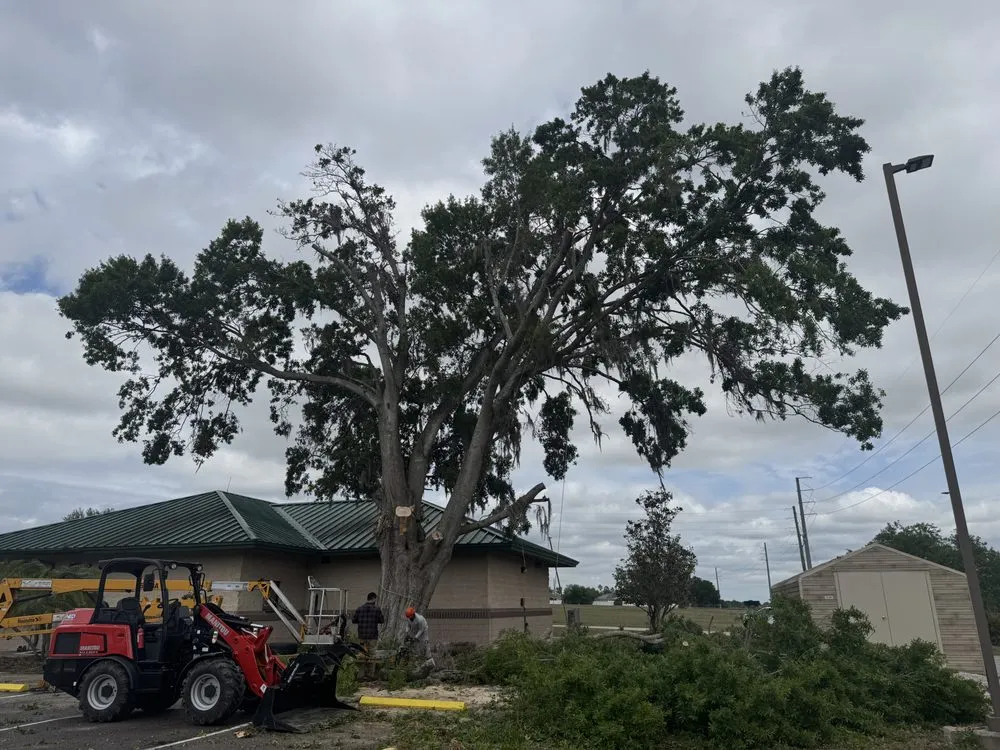 Trusted yard maintenance near you across Kissimmee, FL - Pelor Outdoor Landscaping Solutions