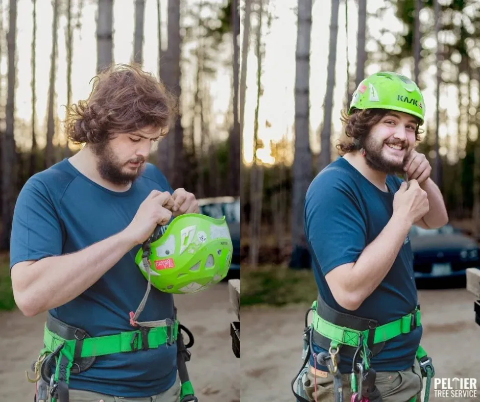 Professional yard maintenance for homes across Fairlee, VT - Peltier Tree Service