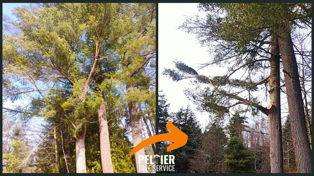 Reliable lawn mowing service in Fairlee, VT - Peltier Tree Service