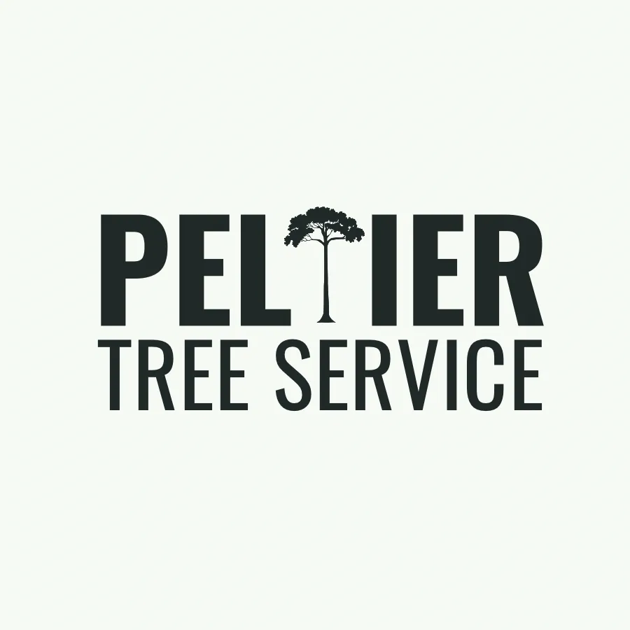 Top-rated residential landscaping in Fairlee, VT - Peltier Tree Service
