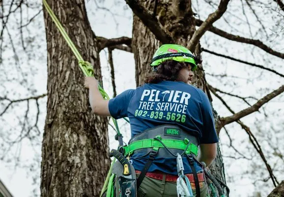 Peltier Tree Service