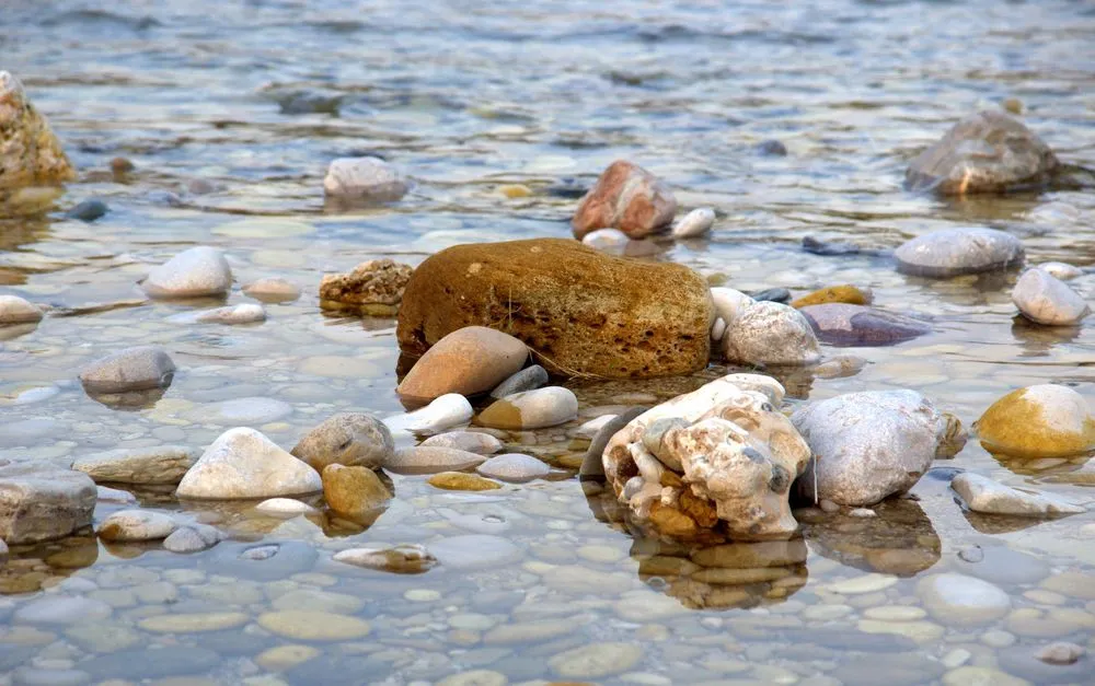 Expert outdoor landscaping for outdoor upgrades across Wilmington, NC - Pelton Aggregates