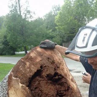 Local residential landscaping experts serving Gautier, MS - Pelton's Tree and Land Services