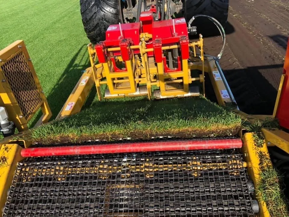 Expert yard cleanup service experts serving Livonia, MI - Peltz Sodding