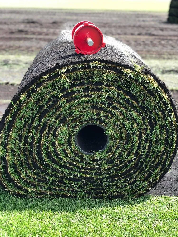 Reliable lawn mowing service in Livonia, MI - Peltz Sodding