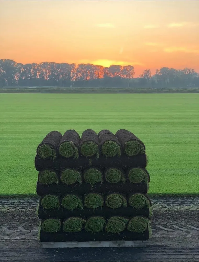 Reliable landscape design experts serving Livonia, MI - Peltz Sodding