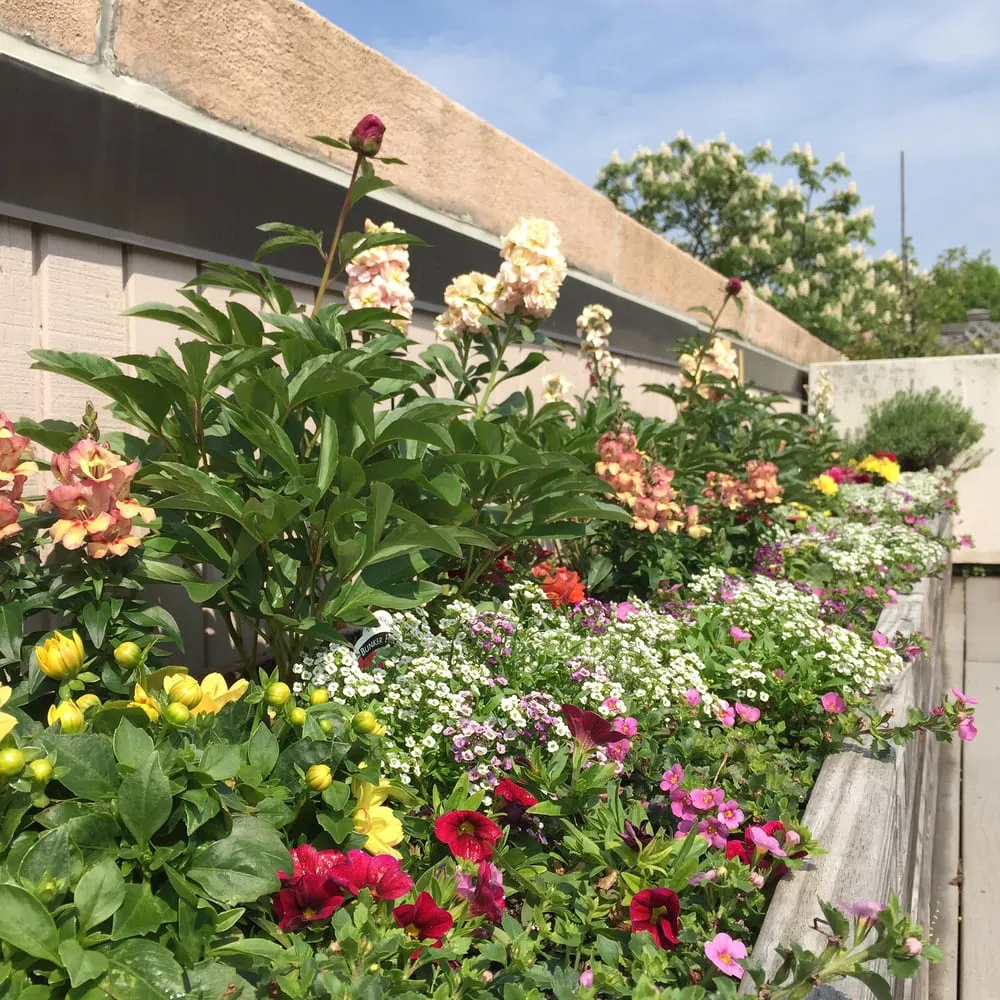 Reliable outdoor landscaping in Cambridge, MA - Pemberton Garden Services