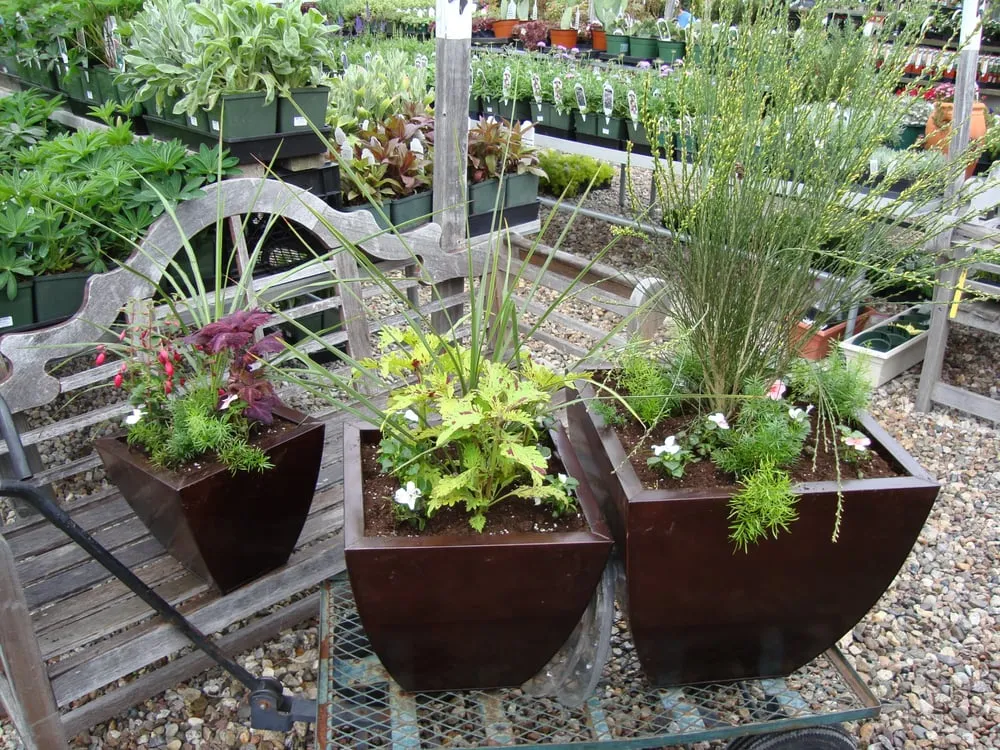 Affordable landscape installation in Cambridge, MA - Pemberton Garden Services