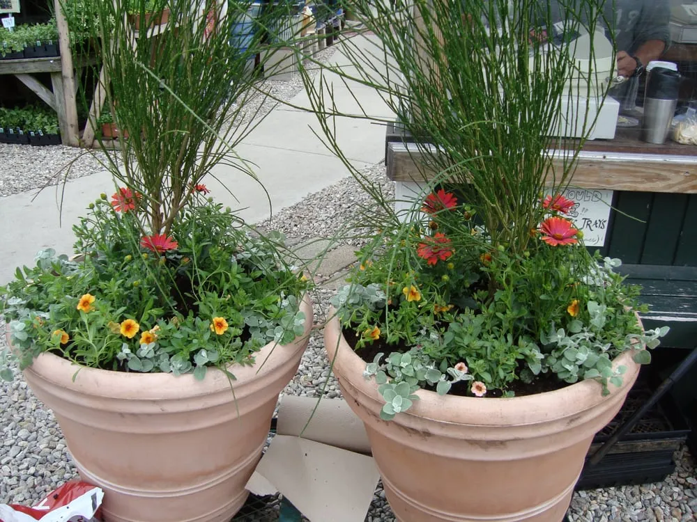 Custom landscaping services experts serving Cambridge, MA - Pemberton Garden Services